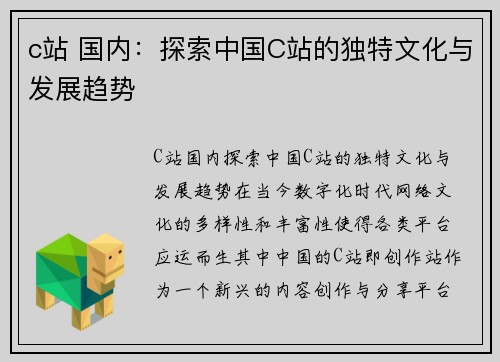 c站 国内：探索中国C站的独特文化与发展趋势